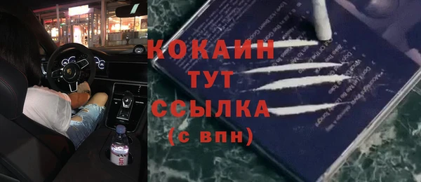 прущий лед Горняк