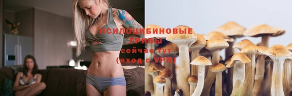 стафф Вязники