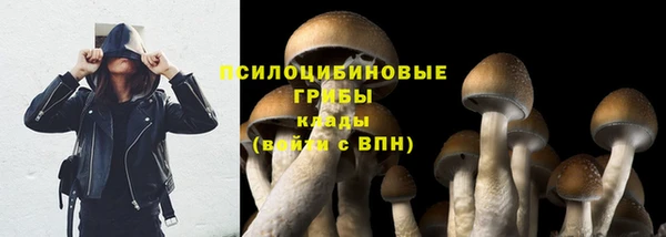 шишки Краснослободск
