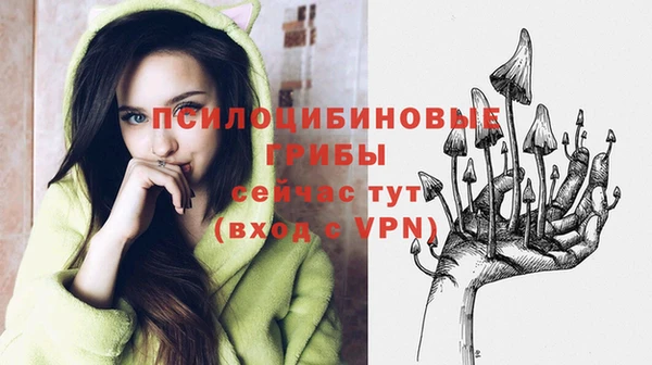 прущий лед Горняк