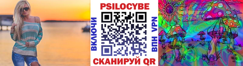 KRAKEN вход  Закаменск  Галлюциногенные грибы Psilocybine cubensis 
